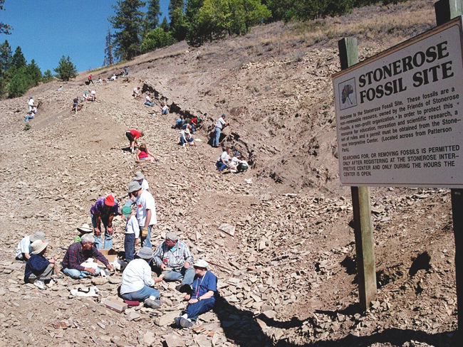 slide show fossil site