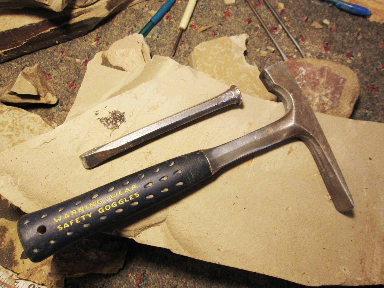 Bring rock hammers or tile hammers to use or rent tools from us to search for fossils.