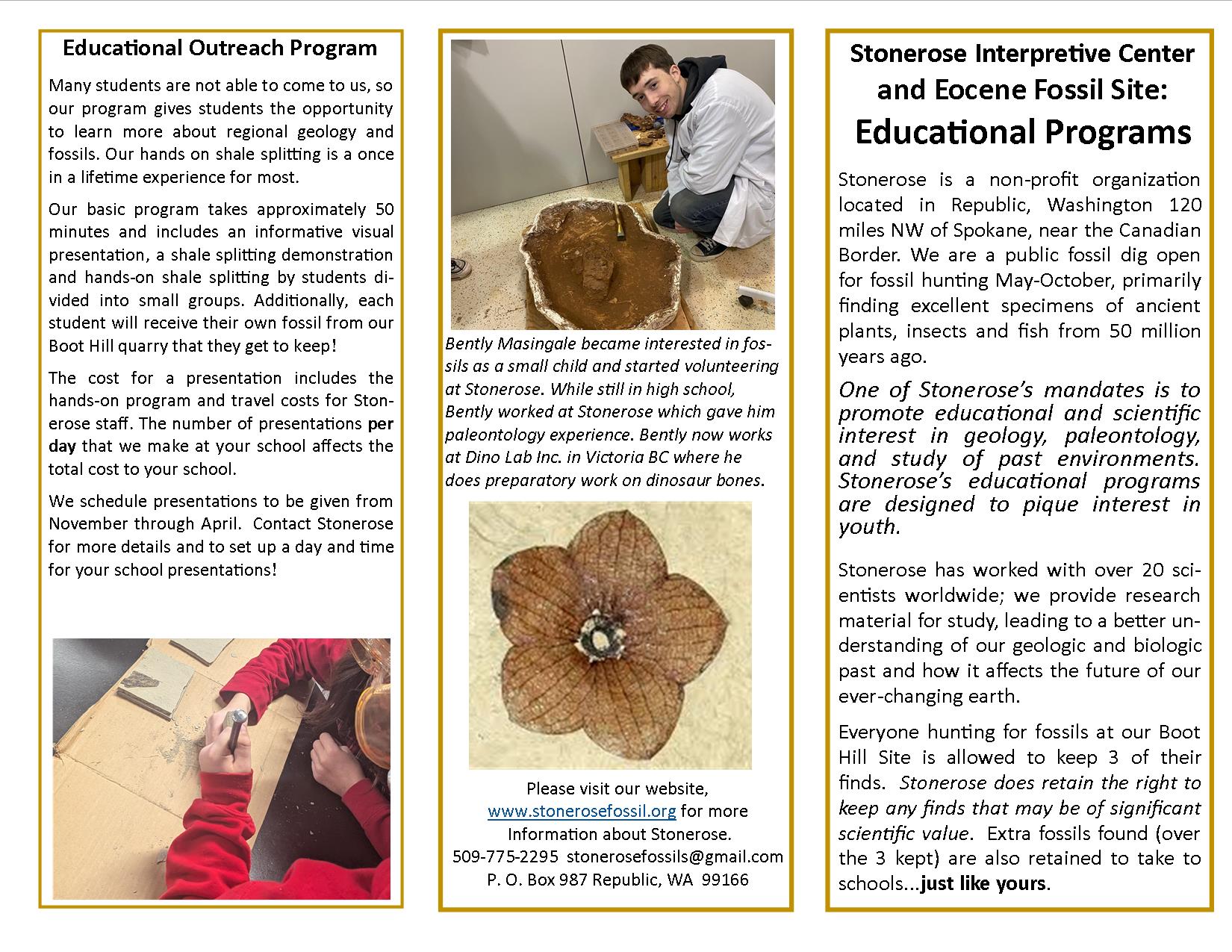 1educational program flyer